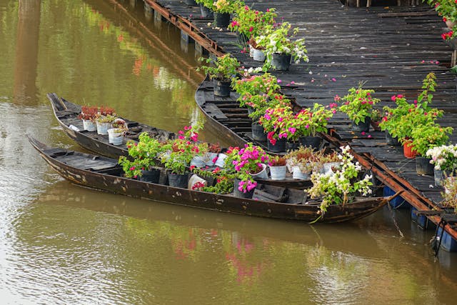 květinové aranžmá